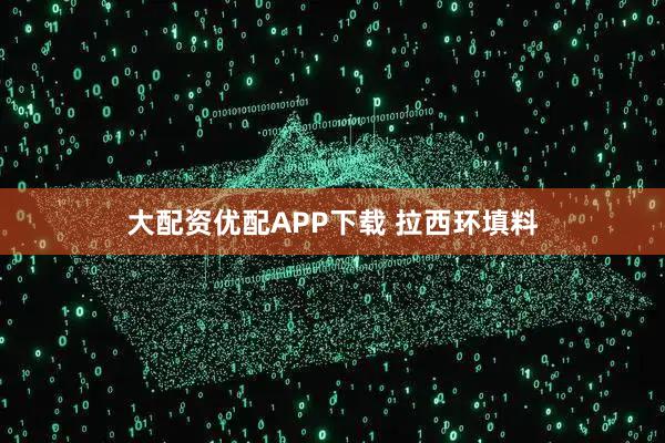 大配资优配APP下载 拉西环填料