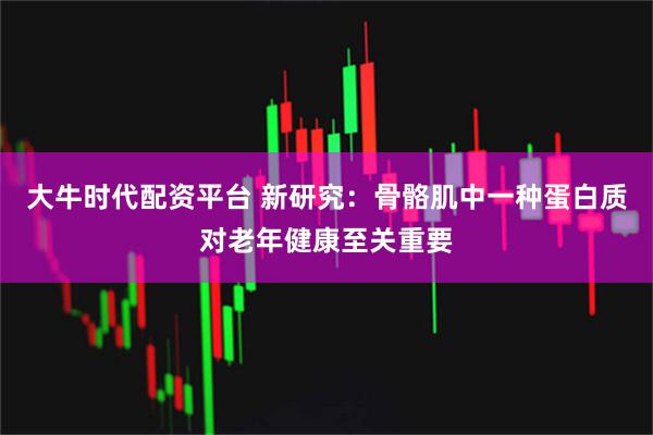 大牛时代配资平台 新研究：骨骼肌中一种蛋白质对老年健康至关重要